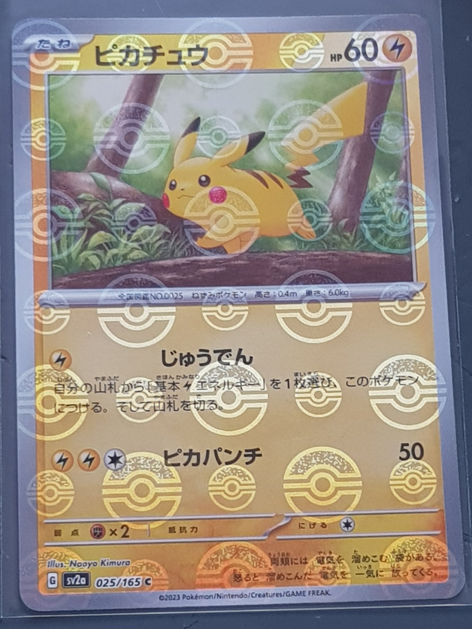Pokemon Scarlet and Violet 151 sv2a Pikachu #025/165 Japanese Pokeball Holo Variation Trading Card Pokemon Scarlet and Violet 151 sv2a Pikachu #025/165 Japanese Pokeball Holo Variation Trading Card