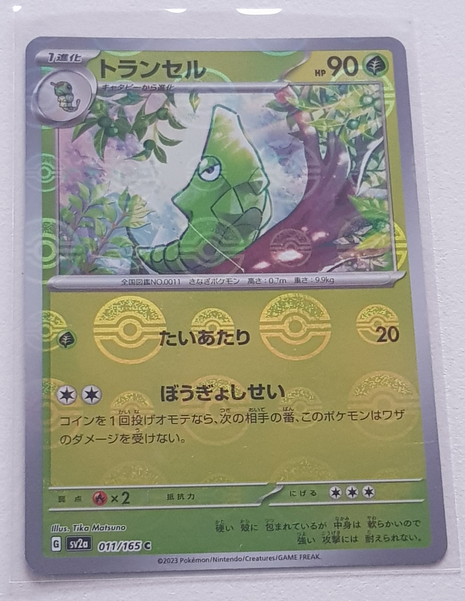 Pokemon Scarlet and Violet 151 Metapod #011/165 Japanese Pokeball Holo Variation Trading Card