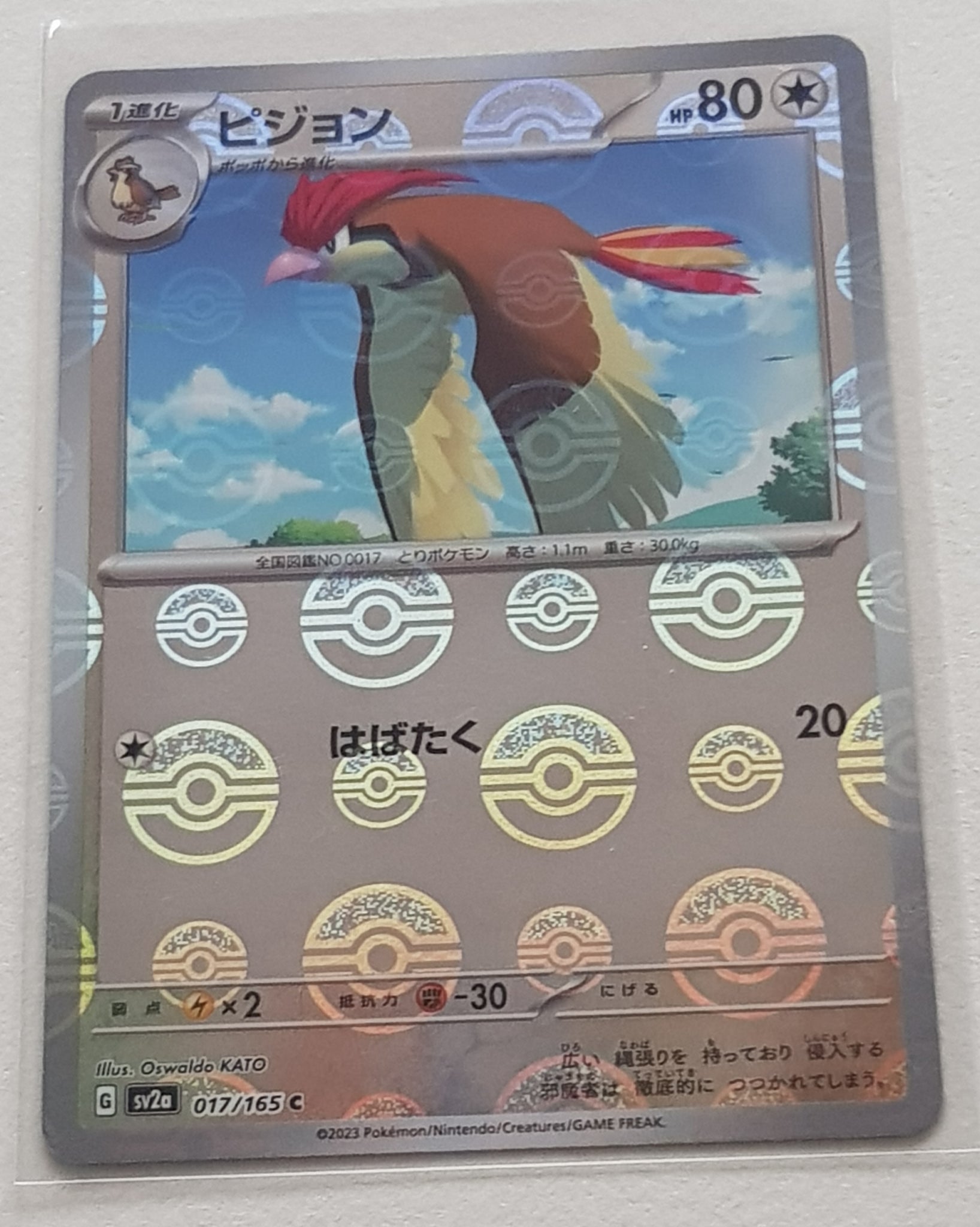 Pokemon Scarlet and Violet 151 Pidgeotto #017/165 Japanese Pokeball Holo Variation Trading Card