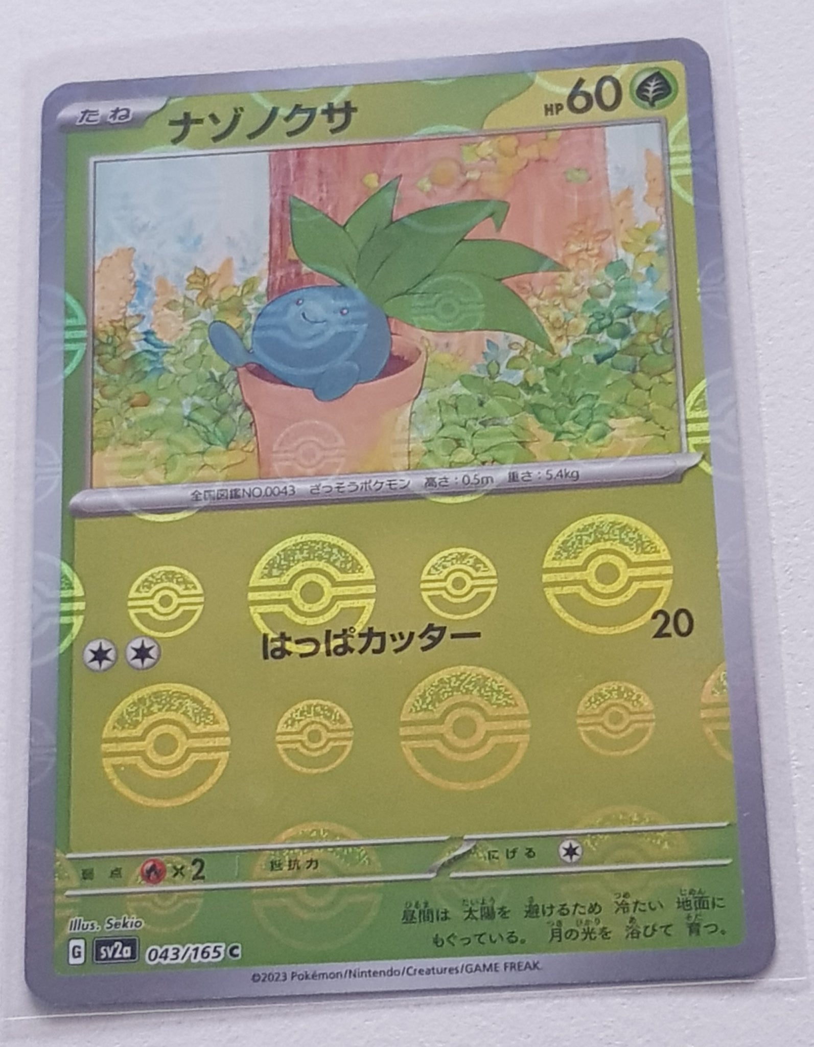Pokemon Scarlet and Violet 151 Oddish #043/165 Japanese Pokeball Holo Variation Trading Card