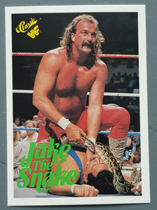 1990 Classic WWF Jake "The Snake" Roberts #108 Trading Card