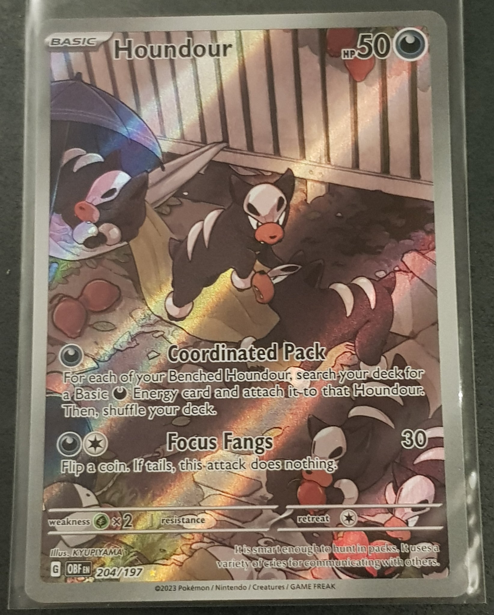 Pokemon Scarlet and Violet Obsidian Flames Houndour #204/197 Illustration Rare Holo Trading Card