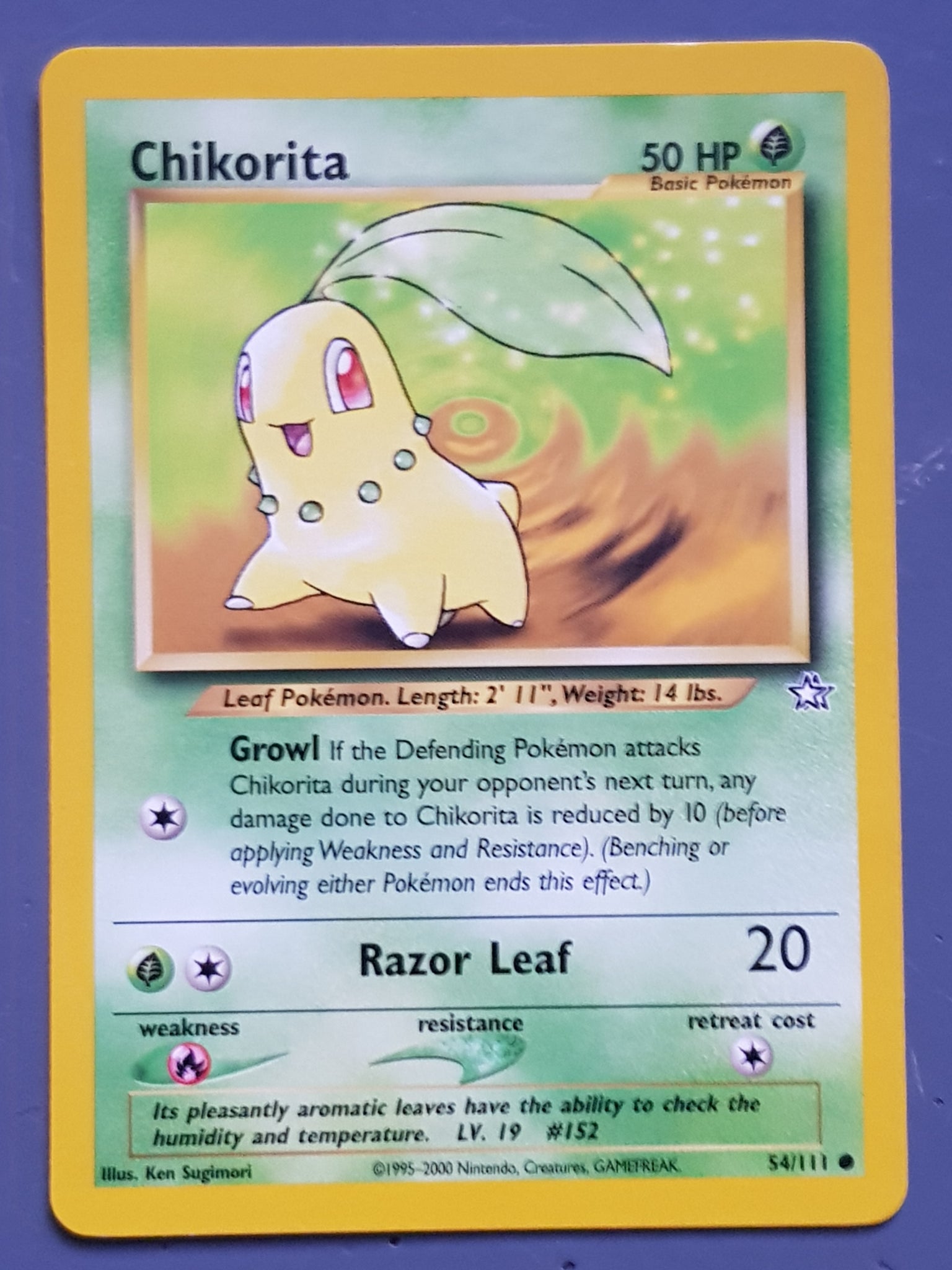 Pokemon Neo Genesis Chikorita #54/111 Trading Card Rotterdam Comics Pokemon Neo Genesis Chikorita #54/111 Trading Card Rotterdam Comics