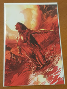 Vampirella #1 NM- Alex Ross 1/50 Virgin Cover