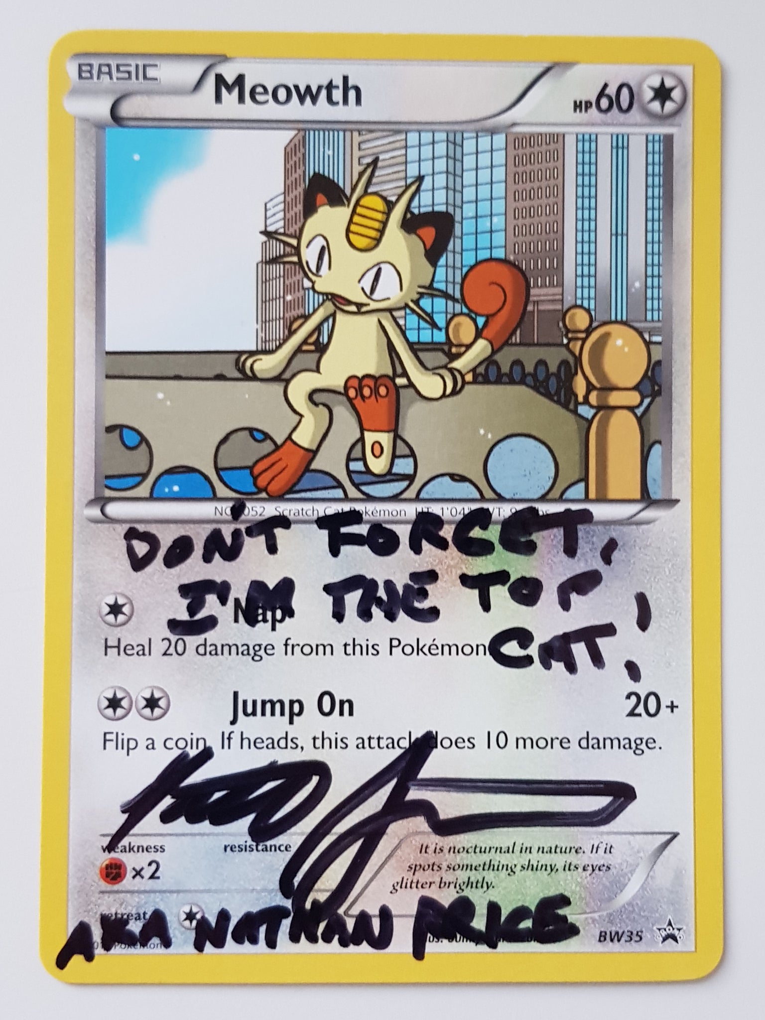 Pokemon Black and White Meowth #BW35 Black Star Promo Trading Card (Si Rotterdam Comics Pokemon Black and White Meowth #BW35 Black Star Promo Trading Card (Si Rotterdam Comics