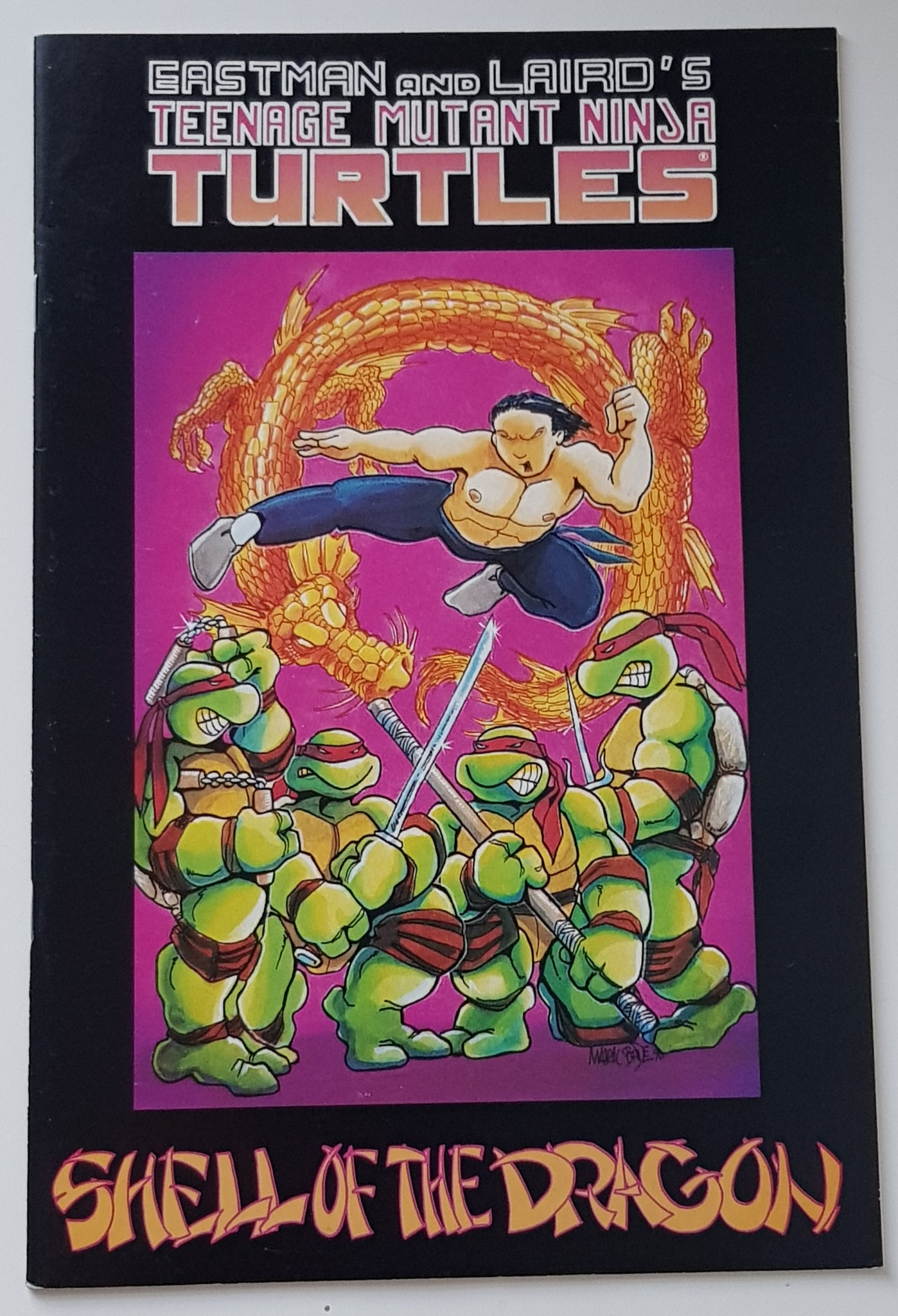 Teenage Mutant Ninja Turtles #18 VF- (2nd Print, Color Special)