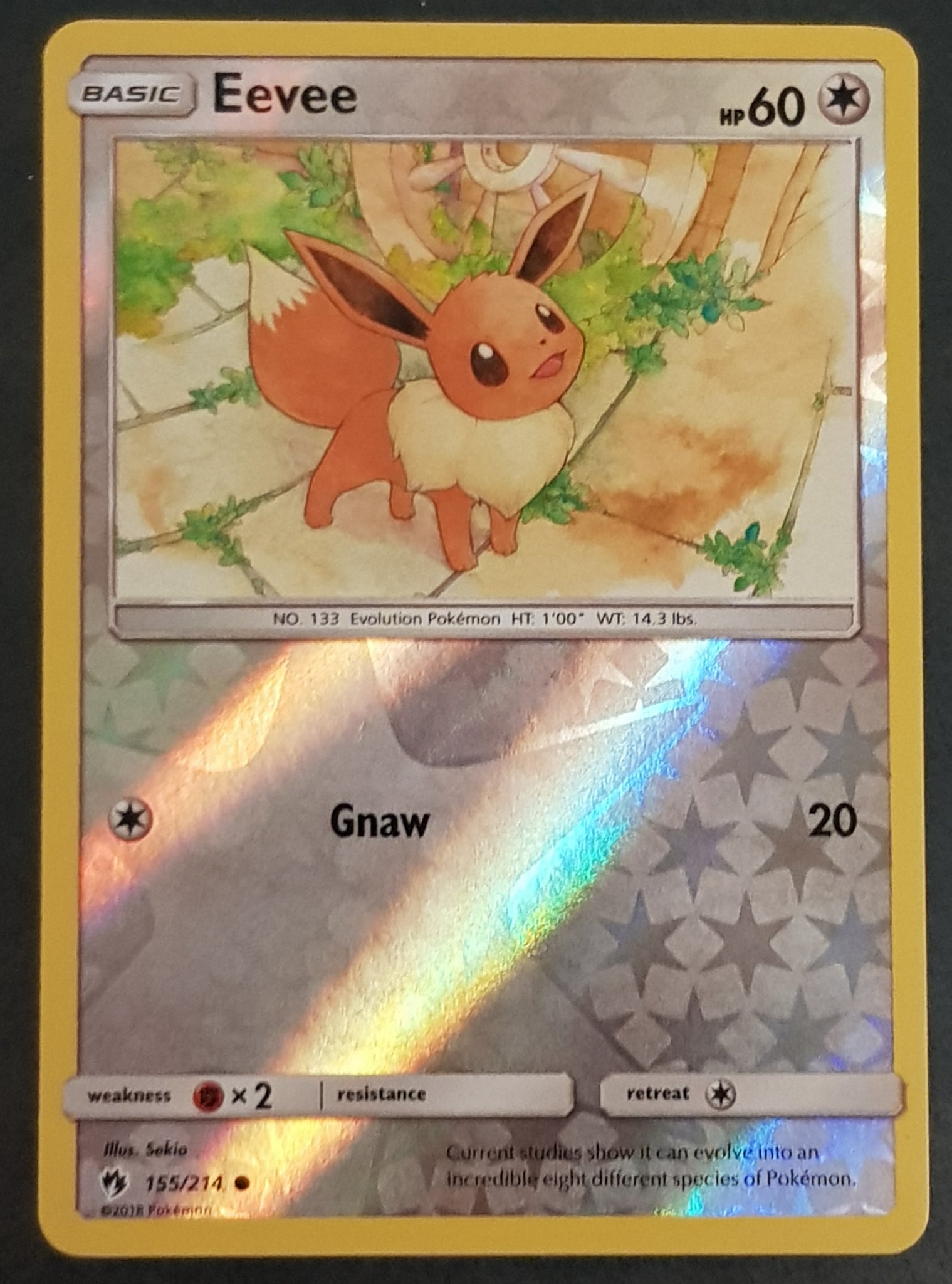 Pokemon Sun and Moon Lost Thunder Eevee #155/214 Reverse Holo Trading Rotterdam Comics Pokemon Sun and Moon Lost Thunder Eevee #155/214 Reverse Holo Trading Rotterdam Comics