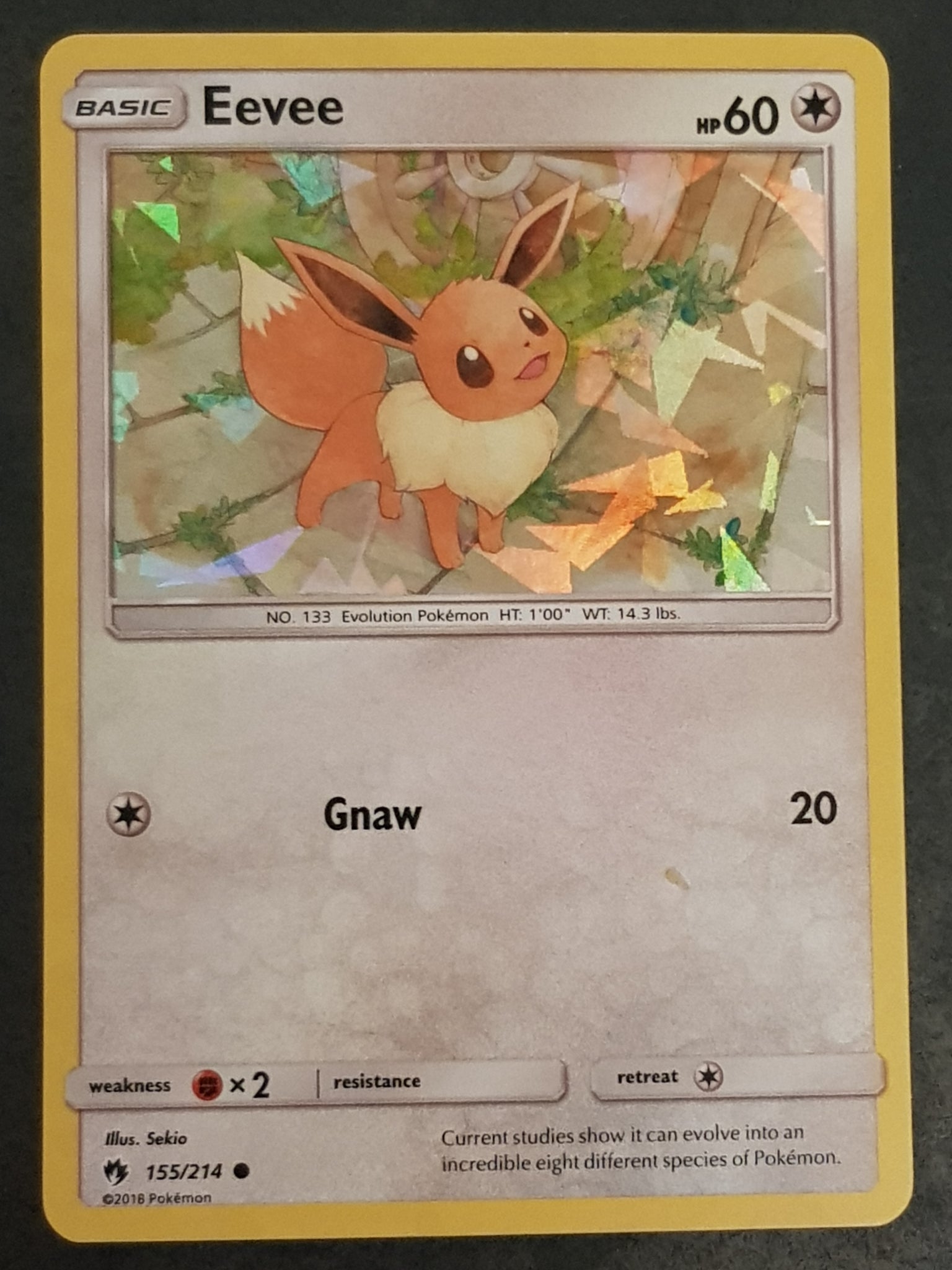 Pokemon Sun and Moon Lost Thunder Eevee #155/214 Cracked Ice Holo Trad Rotterdam Comics Pokemon Sun and Moon Lost Thunder Eevee #155/214 Cracked Ice Holo Trad Rotterdam Comics