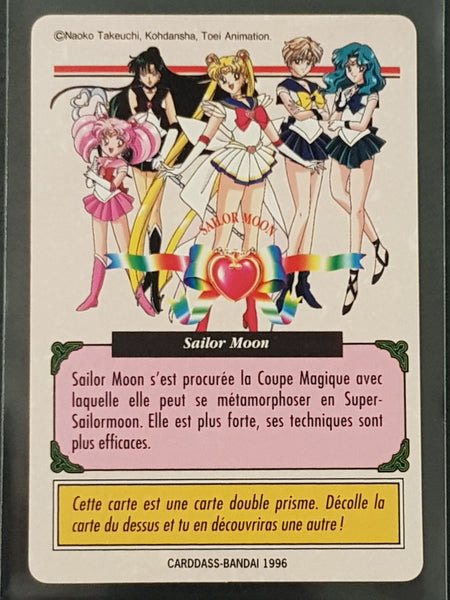 1996 Carddass Sailor Moon #221 Prism Trading Card (French Edition)