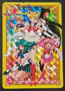 1996 Carddass Sailor Moon #nn Prism Trading Card (French Edition)