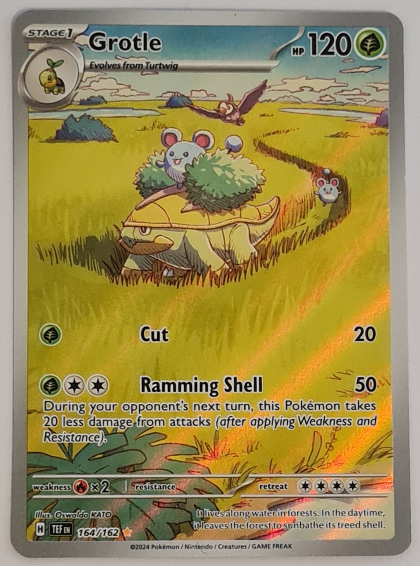 Pokemon Scarlet and Violet Temporal Forces Grotle #164/162 Illustration Rare Holo Trading Card