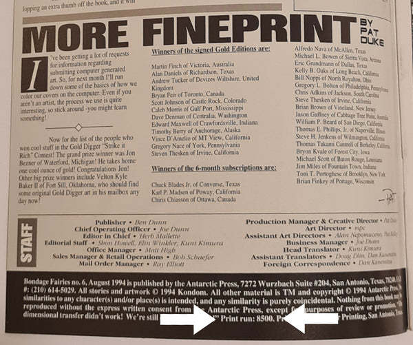 Bondage Fairies #6 VF+