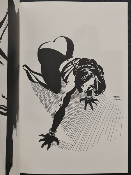 Tim Sale - Yeah Baby Sketchbook NM (2005 SDCC Exclusive)