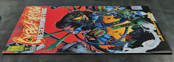 Cyberfrog Reservoir Frog #1 VF/NM Ethan Van Sciver (Cvr B) Variant