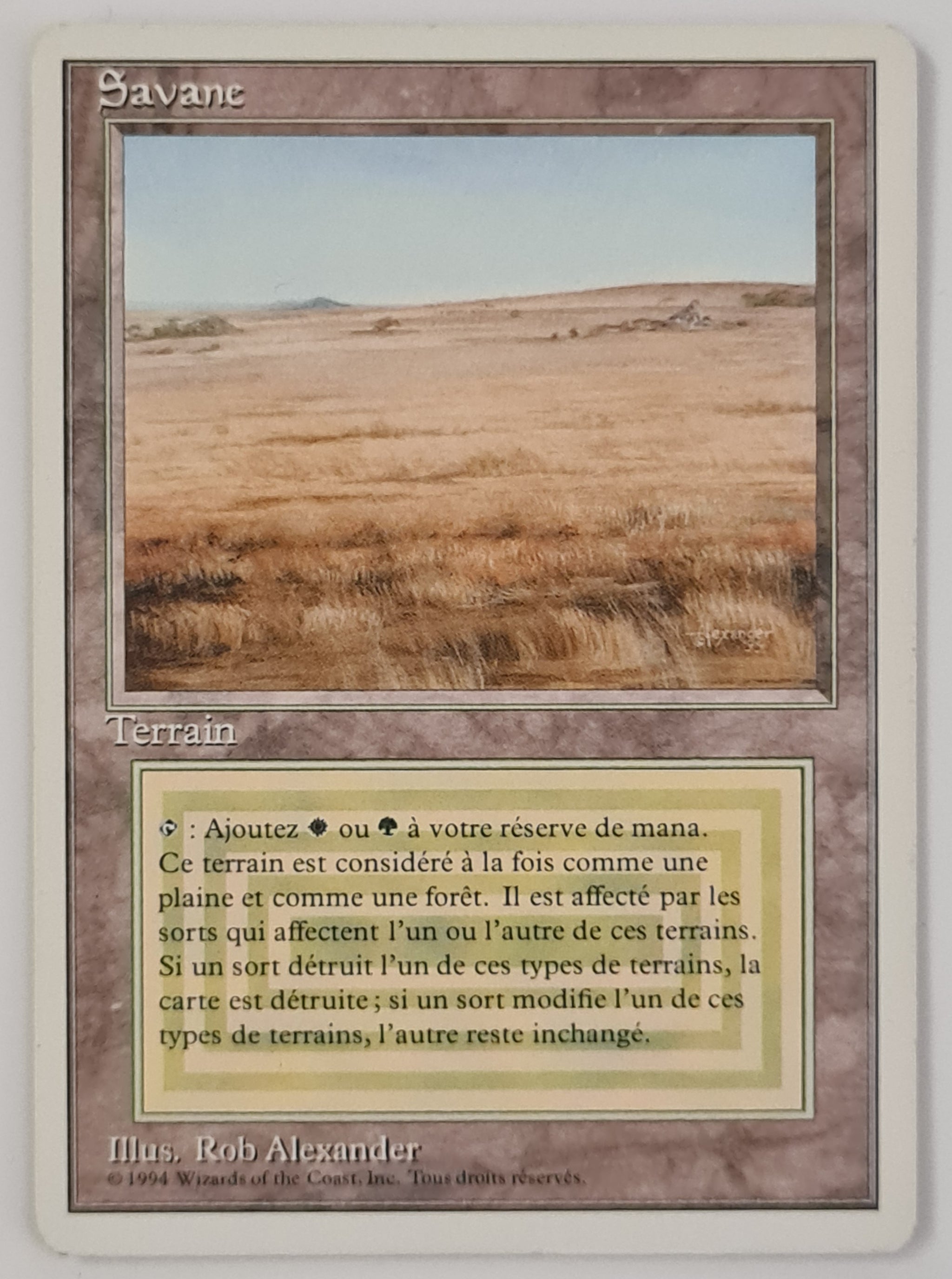 Magic the Gathering Foreign White Bordered (French Unlimited