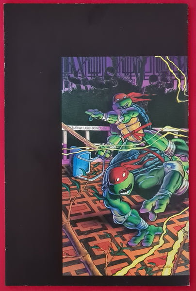Teenage Mutant Ninja Turtles #9 VF/NM (Richard Corben Backup Story)