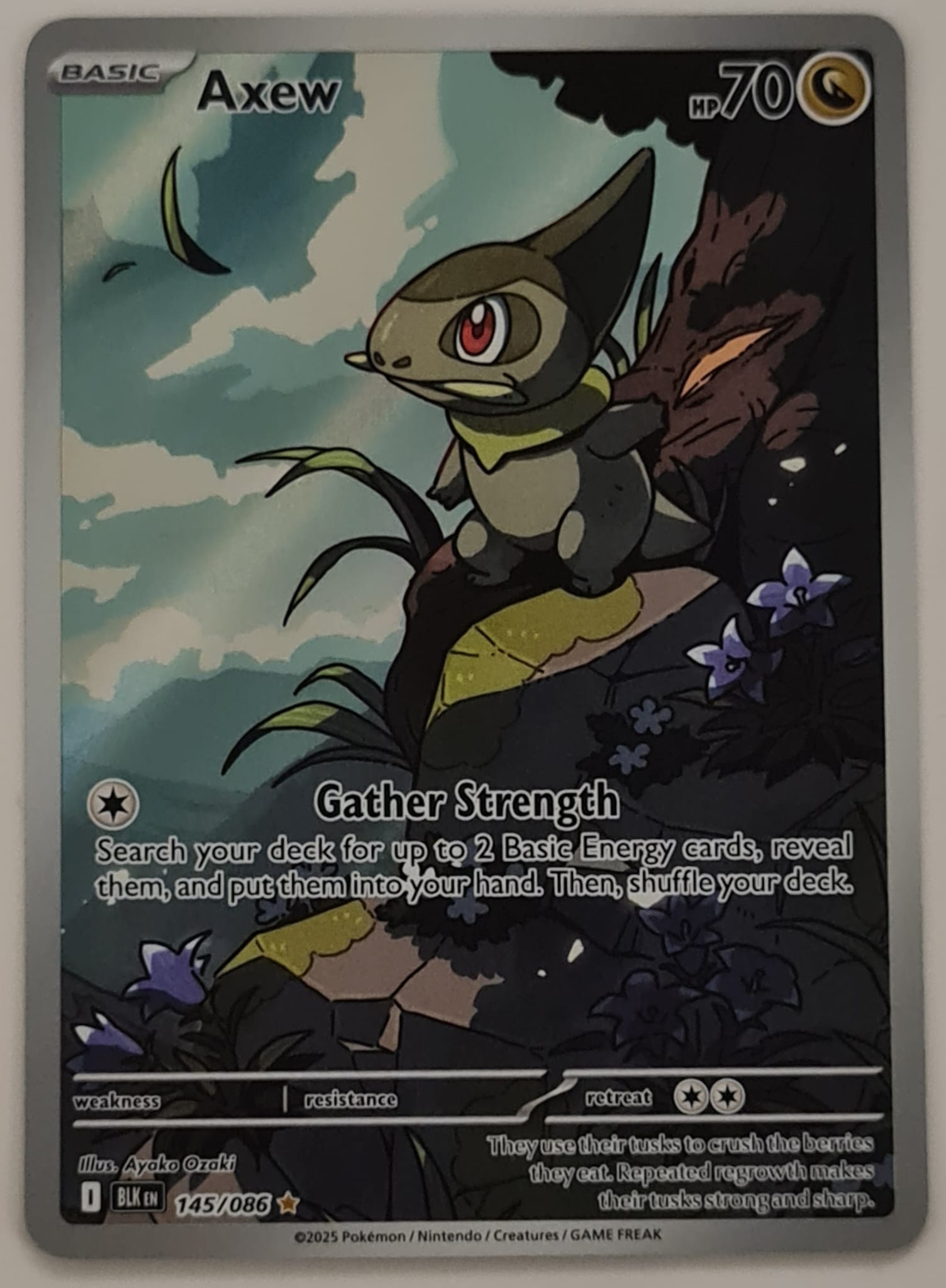Pokemon Scarlet and Violet Black Bolt Axew #145/086 Illustration Rare –  Rotterdam Comics
