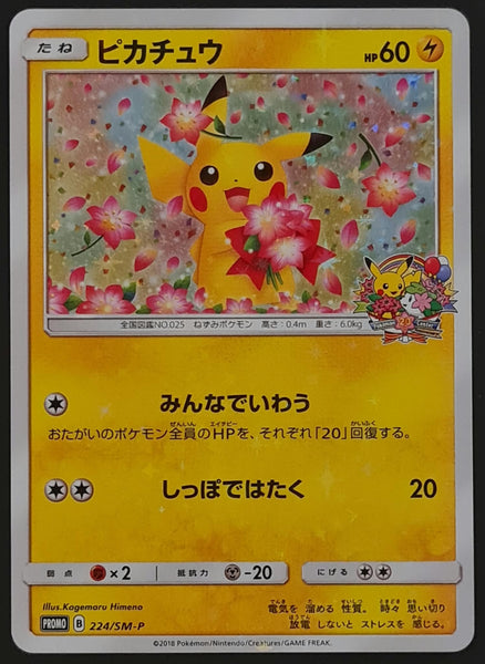 Pokemon Pika Pika Pikachu Nr. 126 SP-Sammelkarte (japanische Promo) 