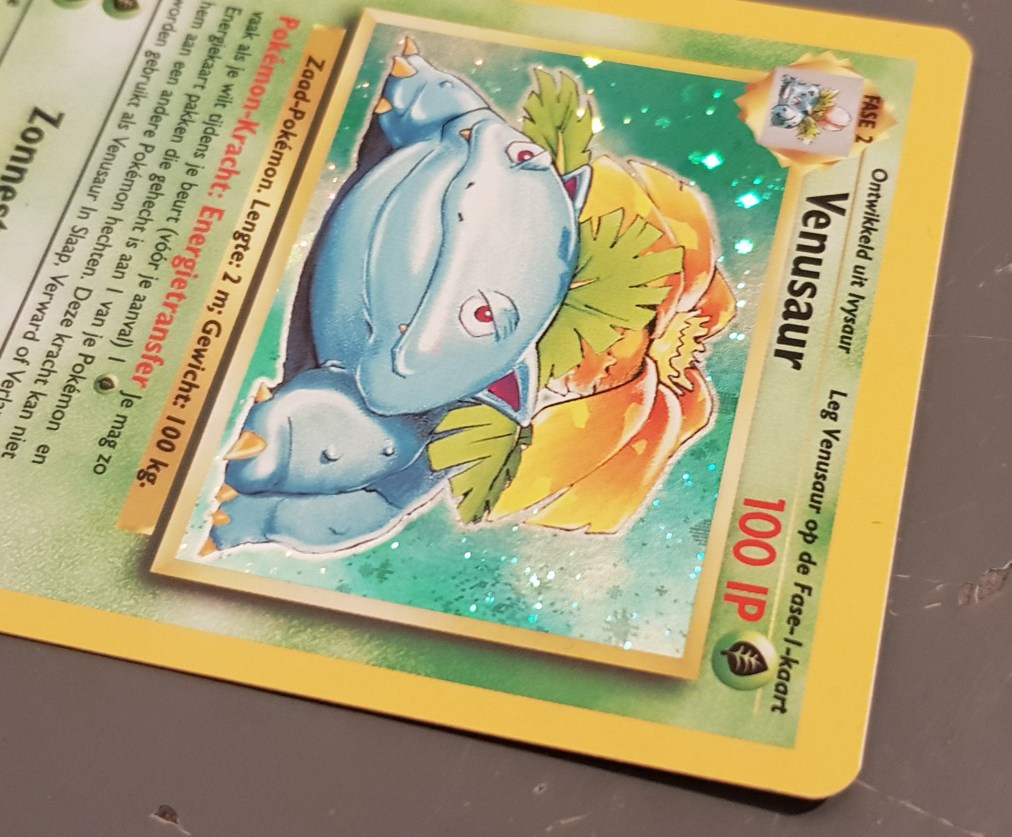 Pokemon Dutch Base Venusaur #15/102 Holo Trading Card – Rotterdam Comics