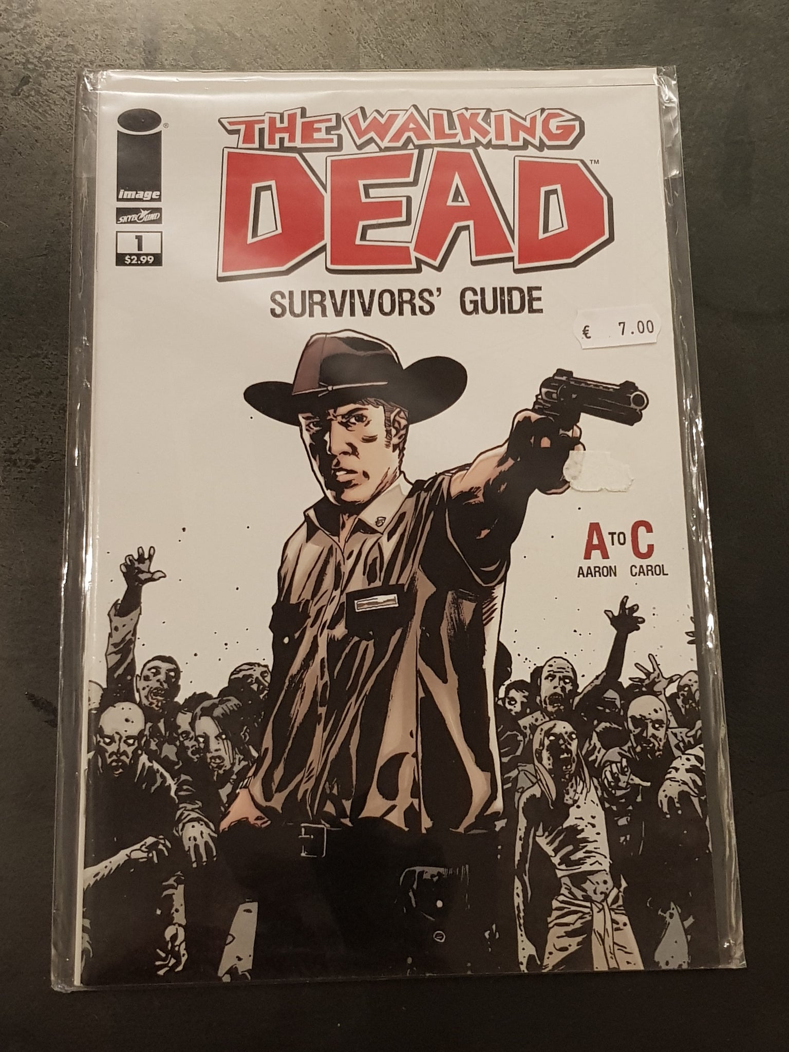 Walking Dead Survivors Guide #1 VF/NM