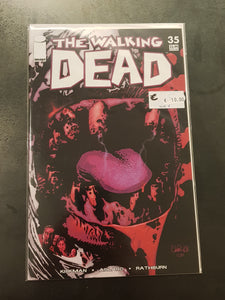 Walking Dead #35 NM+