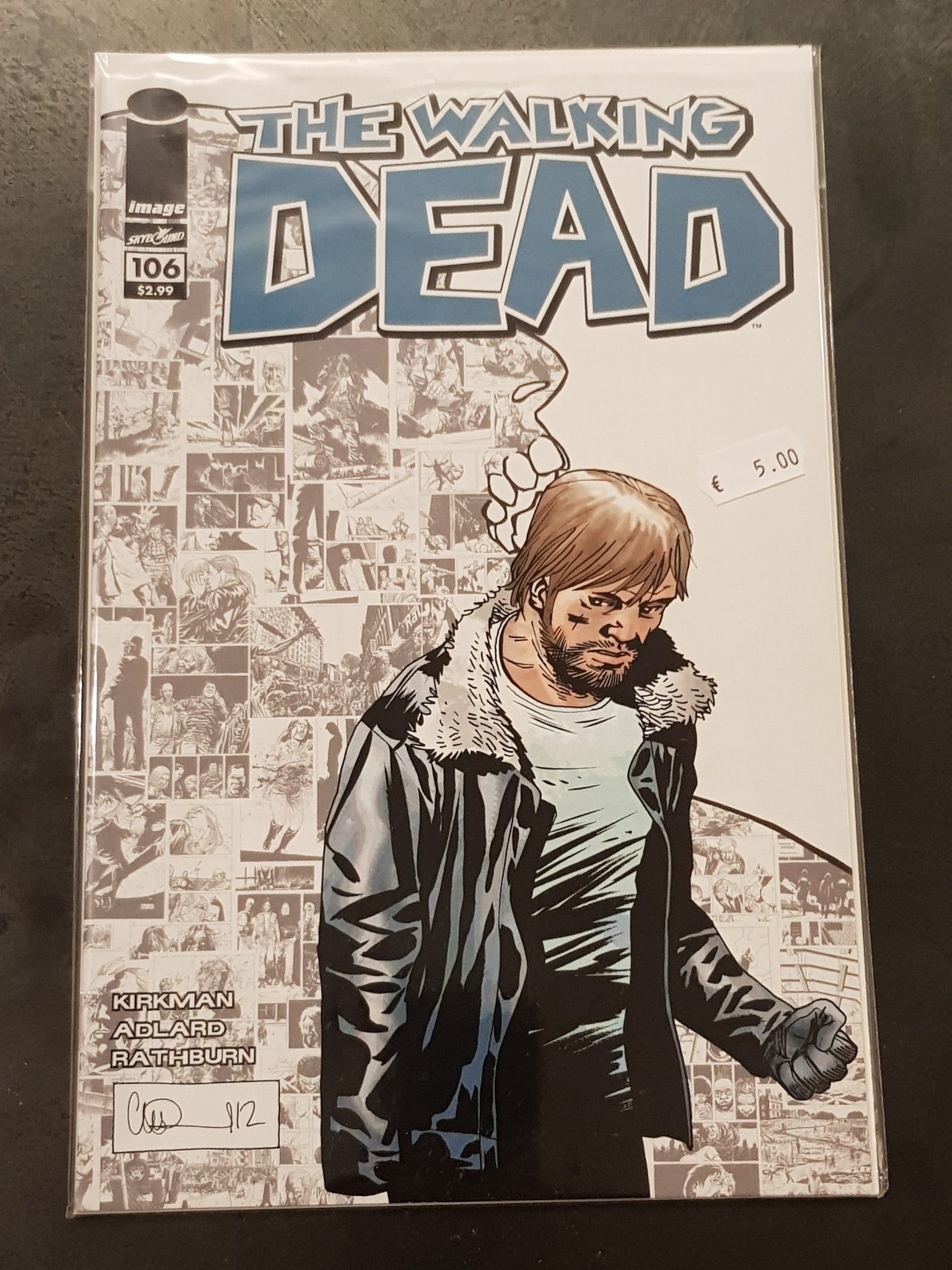 Walking Dead #106 VF/NM (cover B) Variant