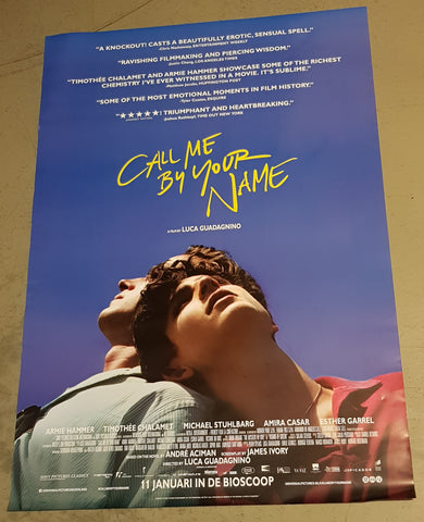 Call Me by Your Name Original 27x39" Dutch Movie Poster (2017)