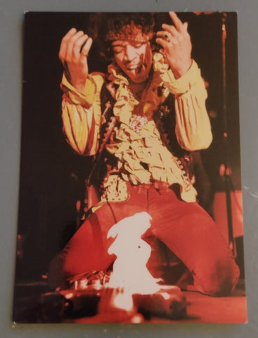 Jimi Hendrix Can You See Me? A Life Through the Lens Promotional Postcard (c)