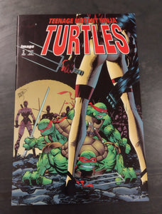 Teenage Mutant Ninja Turtles #2 VF/NM