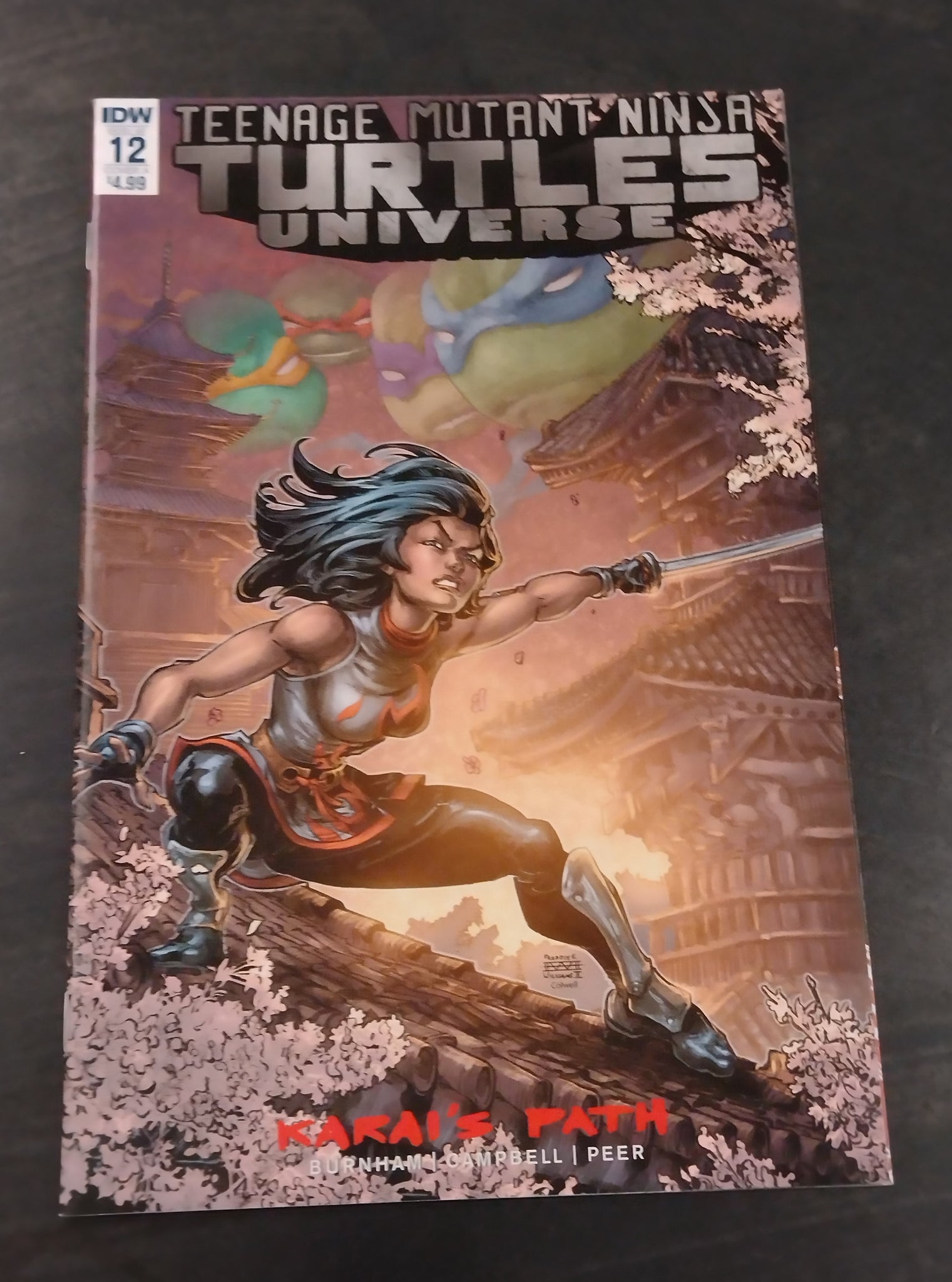 Teenage Mutant Ninja Turtles Universe #12 NM