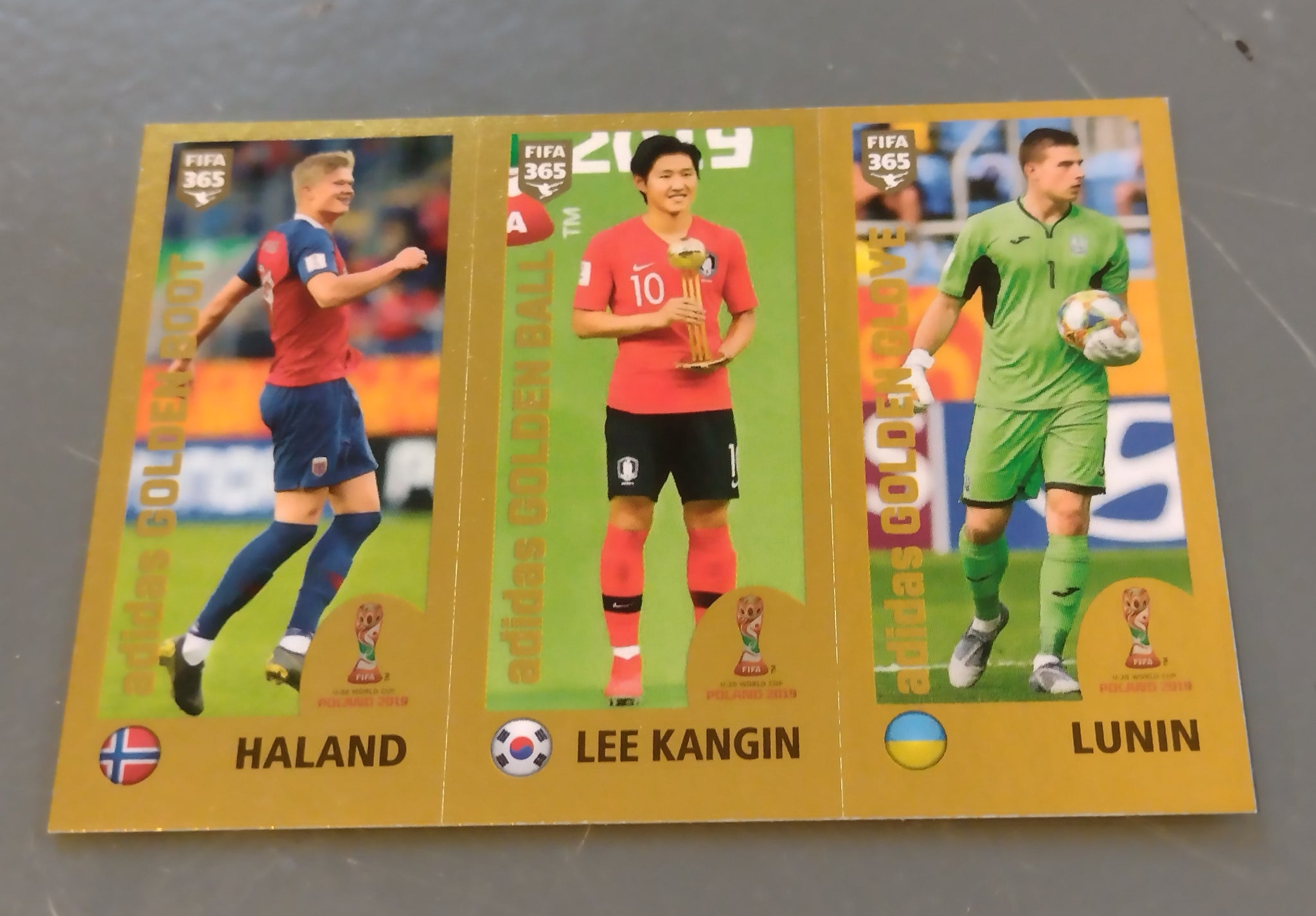 2019-20 Panini FIFA 365 Erling Haaland #427a Rookie Sticker