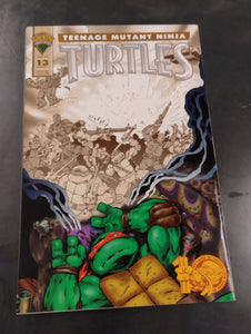 Teenage Mutant Ninja Turtles #13 FN/VF (error version)